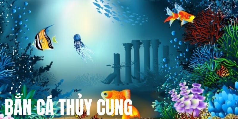 Thuỷ Cung B52 Club Lý Do Bạn Nên Chọn Thuỷ Cung B52 Club